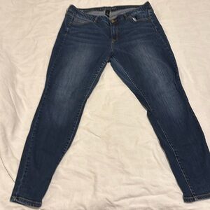 Lane Bryant skinny jeans